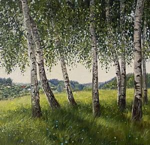 Березки у с.Горы