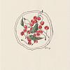 cerise