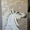 My Horse