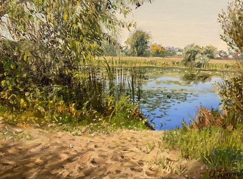 Оз.Большие Гати, вид на Белые Колодези.