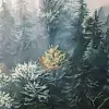 Туманное утро в лесу 