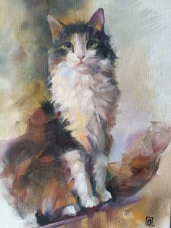 кот