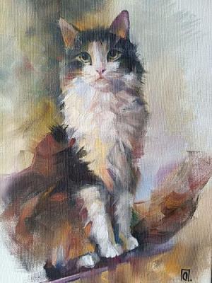 кот