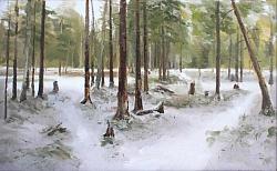 В зимней сказке