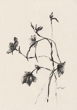 fleur 07