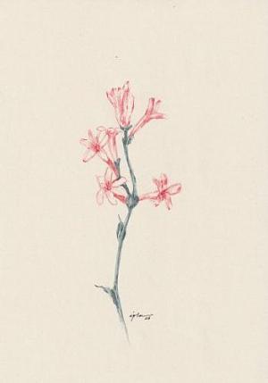fleur 06
