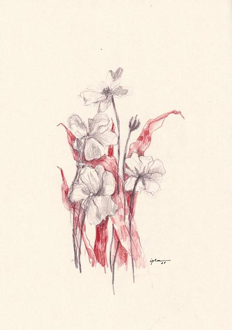 fleur 02