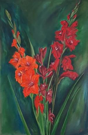 Гладиолусы красно-оранжевые