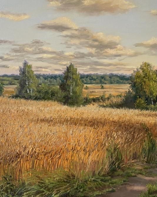 Рожь поспела
